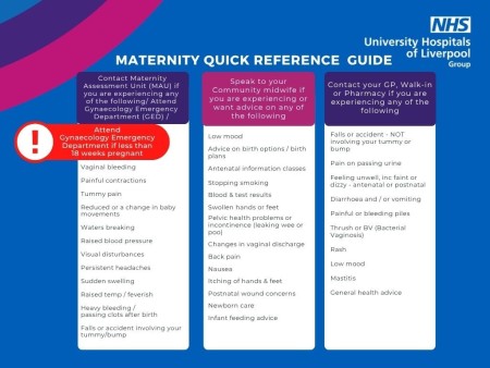 Maternity Quick Reference Guide (3).jpg